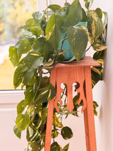 Afbeelding in Gallery-weergave laden, 🌿 Vintage Plantentafeltje met Gele Dip-Pootjes