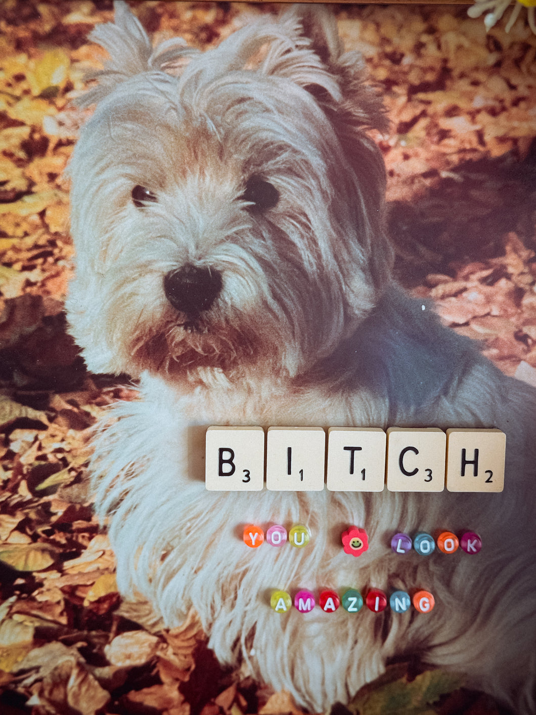 Bitch You Look Amazing