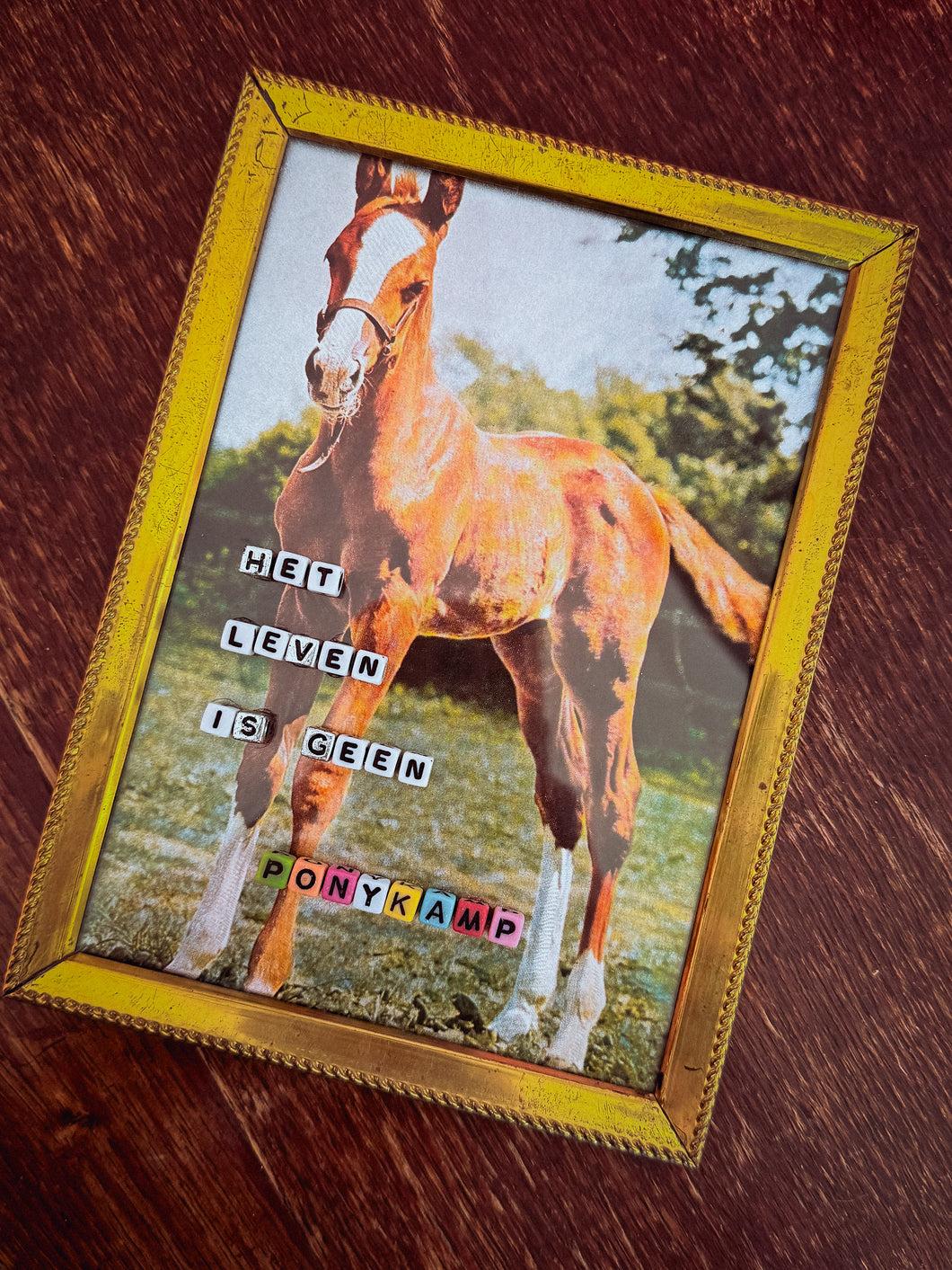 Het leven is geen ponykamp