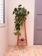 Afbeelding in Gallery-weergave laden, 🌿 Vintage Plantentafeltje met Gele Dip-Pootjes

