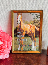 Afbeelding in Gallery-weergave laden, Het leven is geen ponykamp
