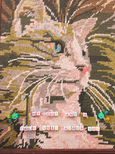 Afbeelding in Gallery-weergave laden, My Cat And I Talk Shit About You

