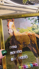 Video laden en afspelen in Gallery-weergave, Het leven is geen ponykamp
